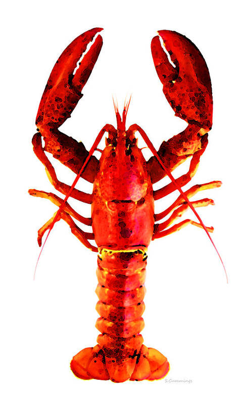 Lobster Poster featuring the painting Red Lobster - Full Body Seafood Art by Sharon Cummings