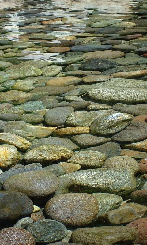 Cool Poster featuring the photograph River Rock by Sherry Clark