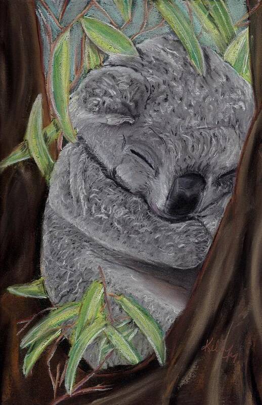 Koala Poster featuring the pastel Shhh Koala Bear Sleeping by Kelly Mills