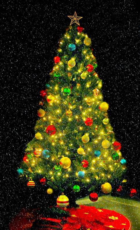 Christmas Tree Poster featuring the photograph The Christmas Card by Diana Angstadt