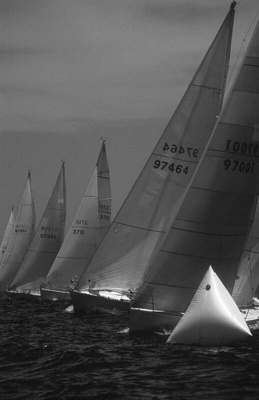 Sail. Sailing Poster featuring the photograph The Start by David Shuler