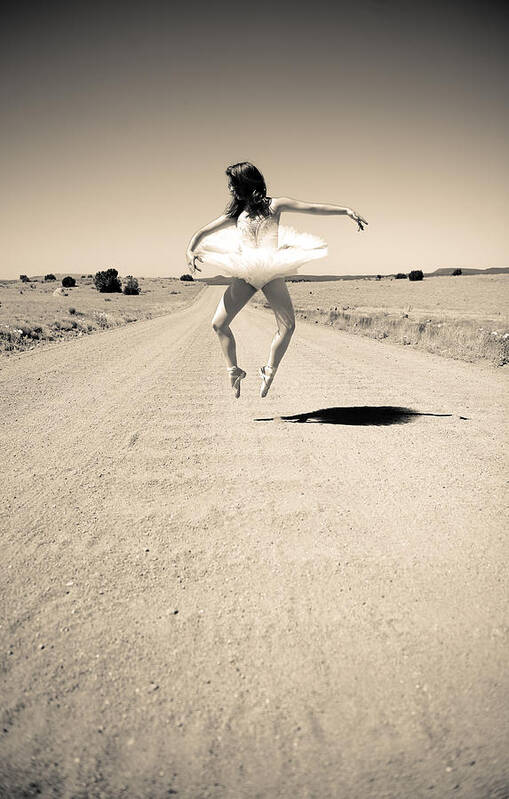 Tutu Poster featuring the photograph Washboard ballet by Scott Sawyer