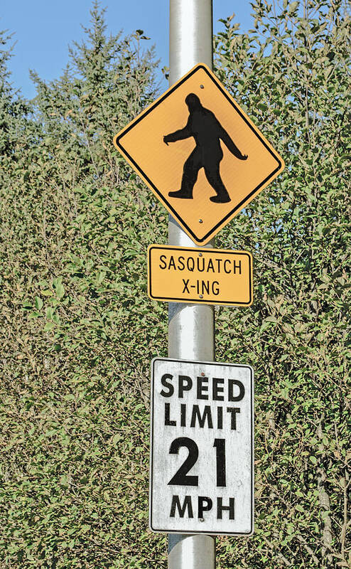 Sasquatch Crossing Poster featuring the photograph Watch Out for the Sasquatch by Tikvah's Hope