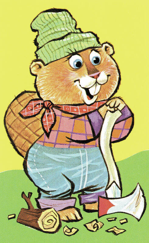 Accessories Poster featuring the drawing Beaver #10 by CSA Images