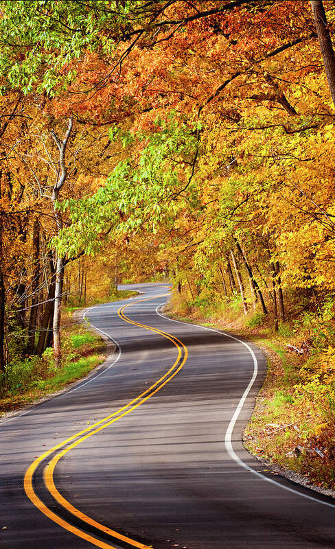 Autumn Poster featuring the photograph Autumn Country Road by Jill Love
