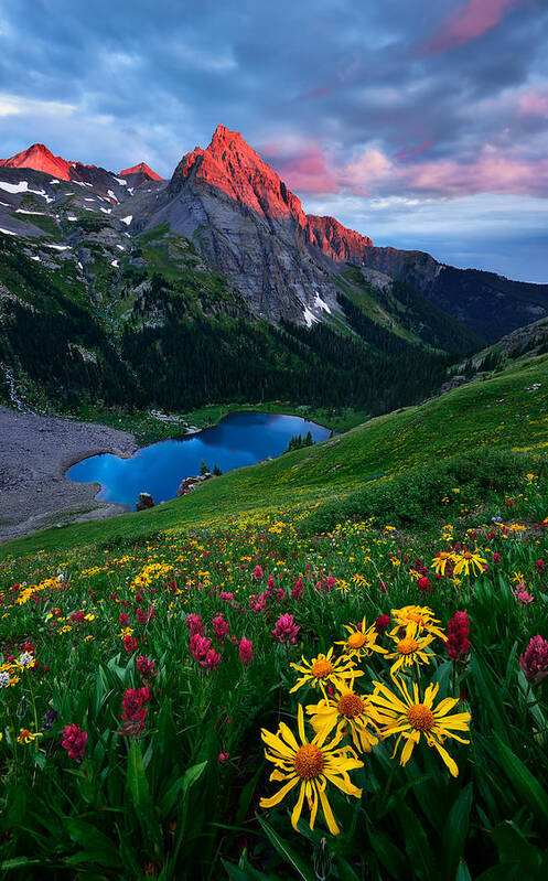 Landscape Poster featuring the photograph Colorful Colorado by Mei Xu