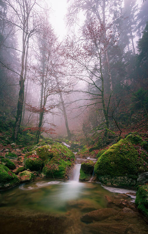 Elfen Poster featuring the photograph Elfenwasser by Mario Mohr