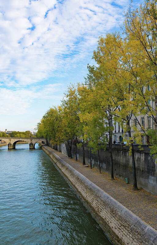 Paris Poster featuring the photograph Golden Leaves Along the Seine by Liz Albro