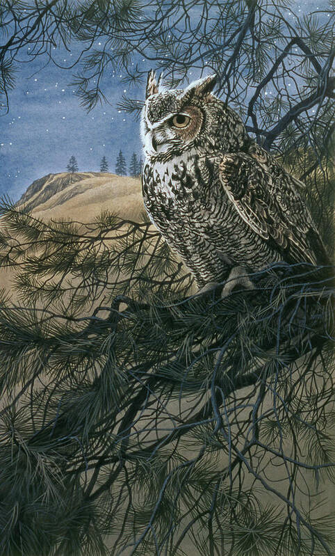 An Owl Perched In A Tree Poster featuring the painting Great Horned Owl 2 by Ron Parker
