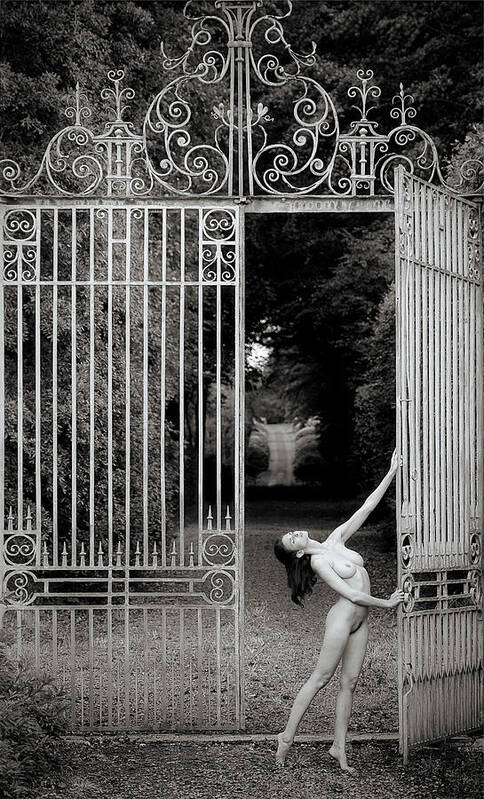 Fineart Poster featuring the photograph Keeper Of The Gate by Howard Ashton-jones