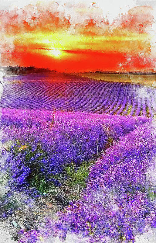 Lavender Poster featuring the painting Lavender fields - 11 by AM FineArtPrints