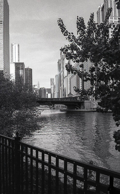 Chicago Poster featuring the photograph River Fence by Laura Hedien