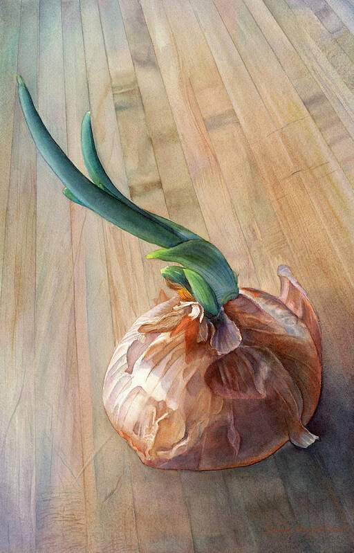 Onion Poster featuring the painting Sprouting Onion by Sandy Haight