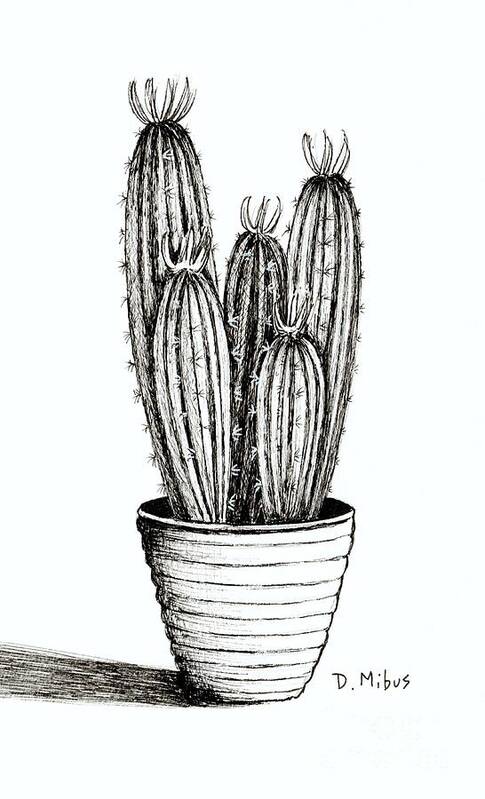 Black And White Cactus Poster featuring the drawing Black and White Cacti in a Pot by Donna Mibus
