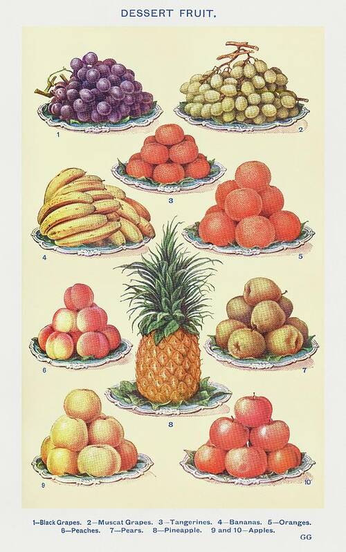 Dessert Fruit Poster featuring the drawing Dessert Fruit II by Mrs Beeton