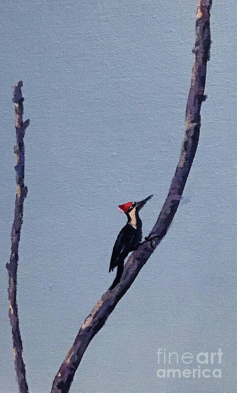 Woodpecker Poster featuring the painting Pileated Woodpecker by Anne Marie Brown
