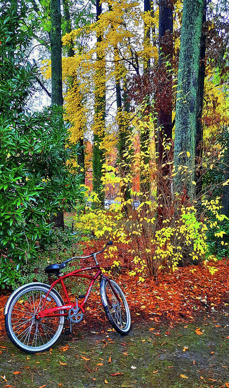 Bicycle Poster featuring the photograph Red Bicycle on Autumn's Path by Ola Allen