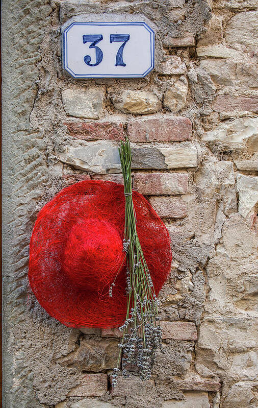 Red Hat Poster featuring the photograph Red Hat of Tuscany by David Letts