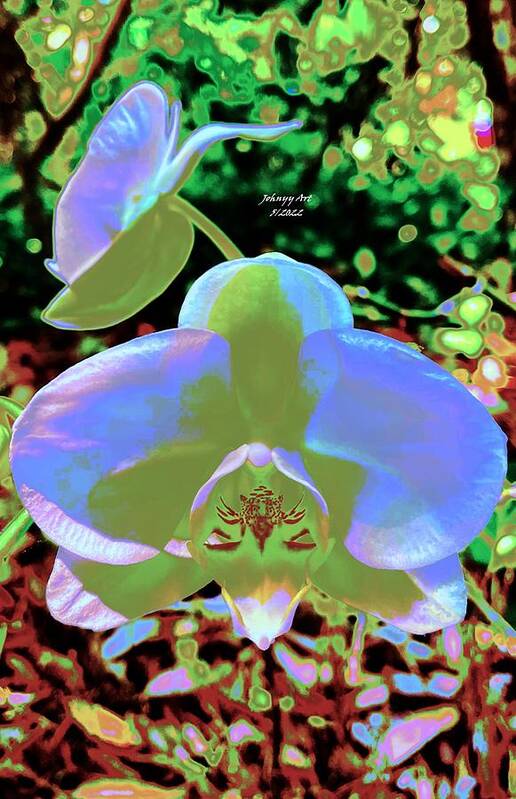Flowers Poster featuring the photograph Todays Orchids in Blue by John Anderson