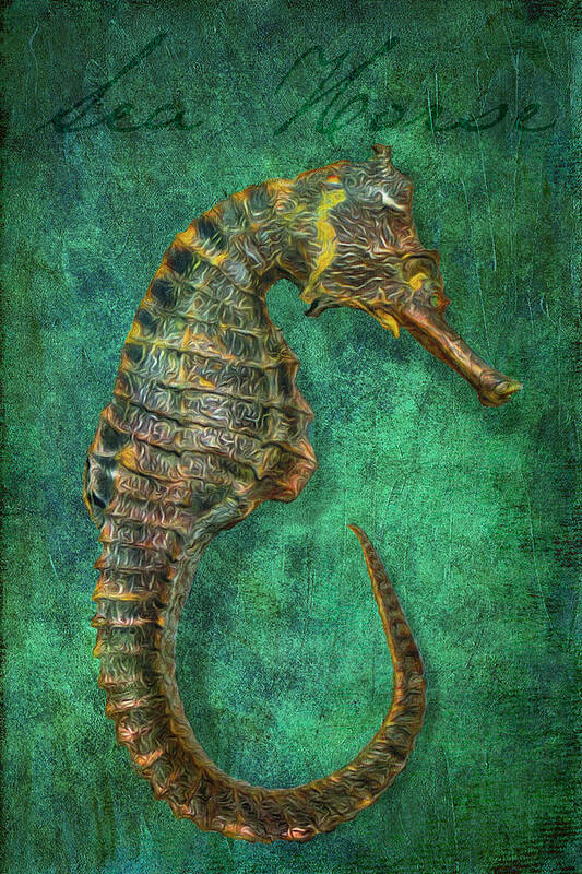 Sea Horse Poster featuring the digital art Sea Horse by Sandra Selle Rodriguez