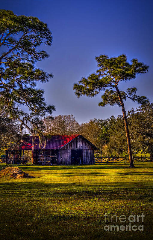 Red Roof Poster featuring the photograph The Red Roof Barn by Marvin Spates
