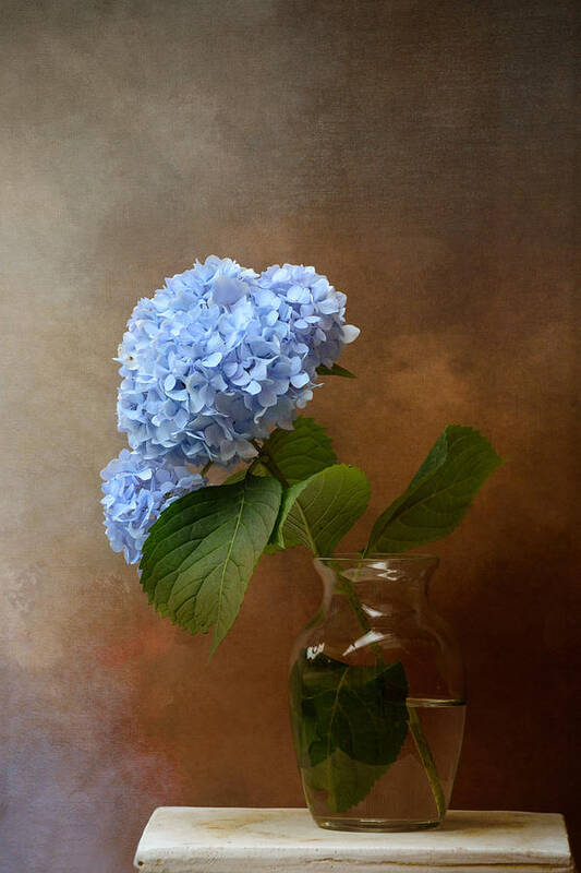 Hydrangea Poster featuring the photograph Blue Hydrangea In A Vase by Jai Johnson