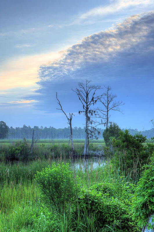 Cape Fear River Poster featuring the photograph Cape Fear Morning 2 by JC Findley