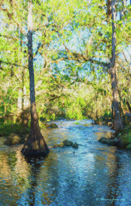 Landscape Poster featuring the photograph Cypress Trees On The River by Marvin Spates