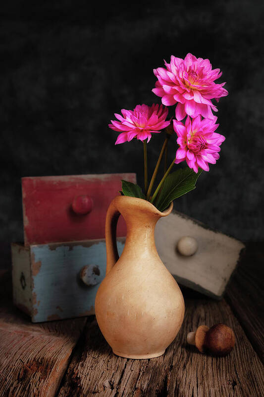 Dahlia Poster featuring the photograph Dahlias and Drawers by Tom Mc Nemar