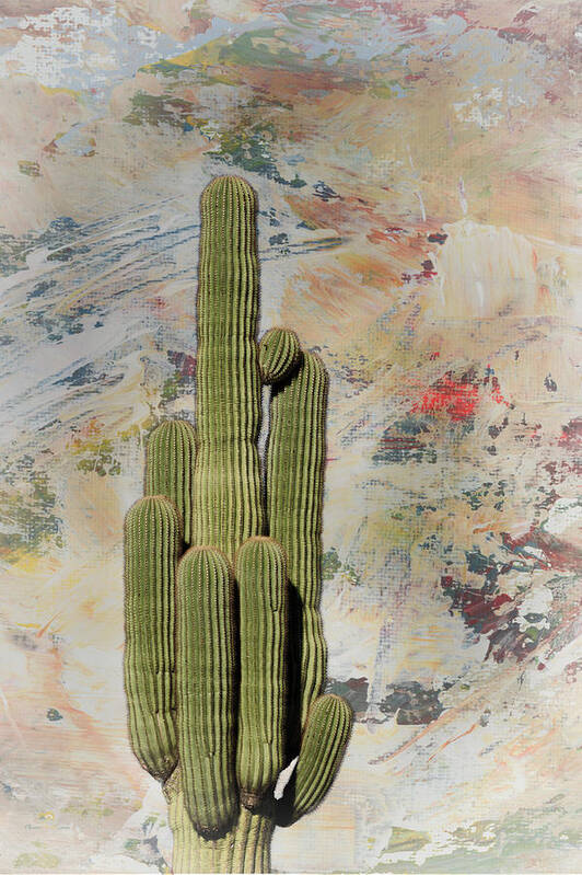 Arizona Poster featuring the photograph Saguaro Cactus by Jim Thompson