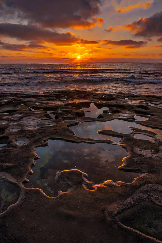 Beach Poster featuring the photograph Tidepools at La Jolla by Peter Tellone