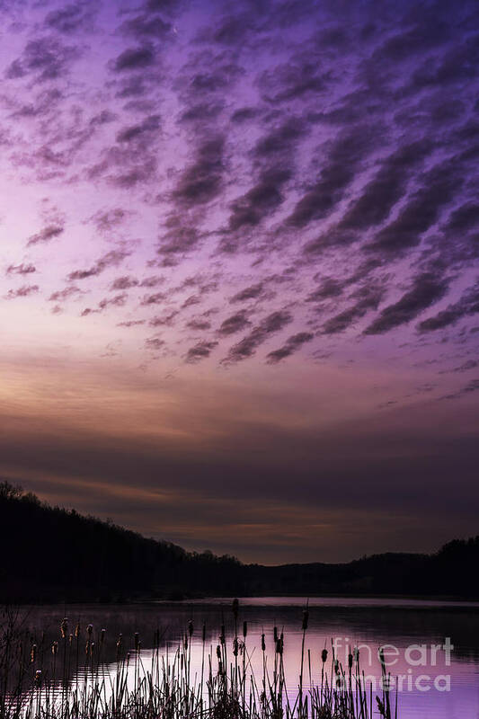 Lake Poster featuring the photograph Winter Dawn by Thomas R Fletcher