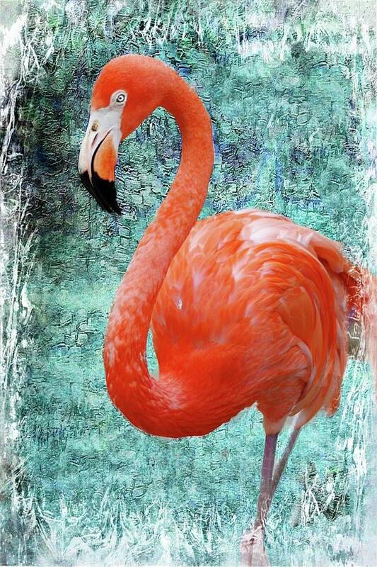 Flamingo Poster featuring the photograph Flamingo Mosaic by Stoney Lawrentz