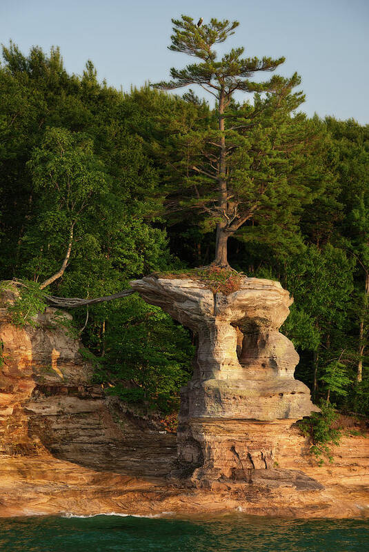 Pictured Rocks Munising Mi Up Lake Superior Water Arch Sun Glow Birds Sunset Kayaking Canoeing Upper Peninsula Chapel Rock Poster featuring the photograph Life Will Find a Way - Pine tree atop Chapel Rock at Pictured Rocks National Lakeshore with Bald Eag by Peter Herman