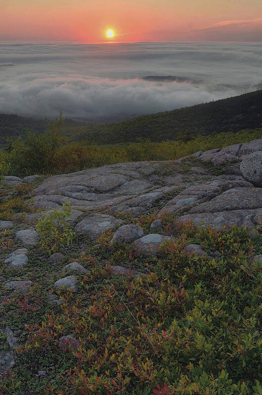 Acadia National Park Poster featuring the photograph Cadillac Mountain Sunrise Over Fog Banks by Stephen Vecchiotti