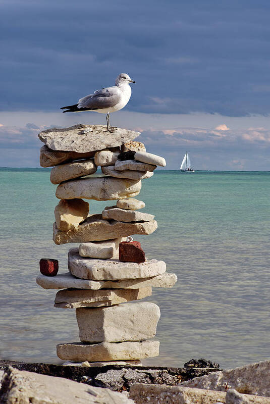 Seagull Poster featuring the photograph King of the Cairn - seagull atop cairn with sailboat at Lake Michigan shoreline at Milwaukee by Peter Herman