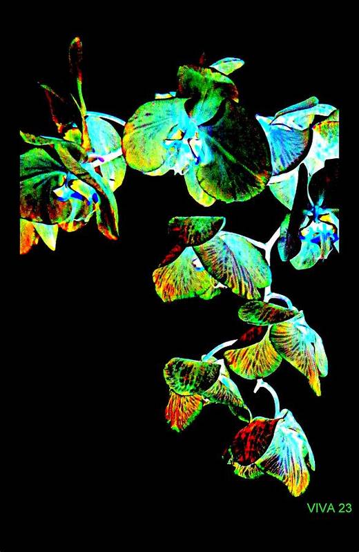 Orchids Fantasy Poster featuring the digital art Orchids - A Fantasy by VIVA Anderson