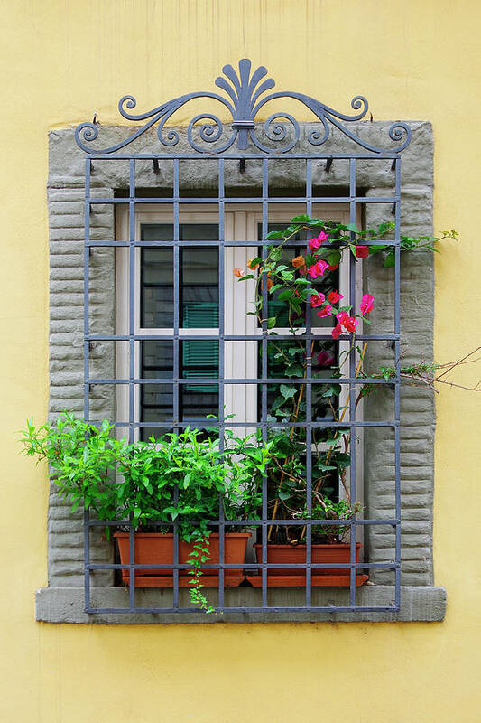 Lucca Poster featuring the photograph Picture Window - Window bars and flower pots on tis yellow wall in Lucca Italy by Kenneth Lane Smith