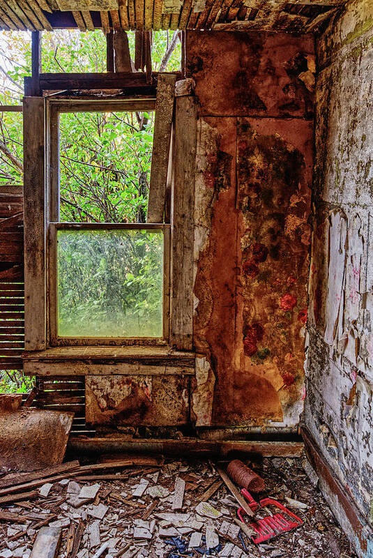 Groff Poster featuring the photograph Some Cleaning Required #2 of 2- abandoned farm homestead in Benson County ND by Peter Herman