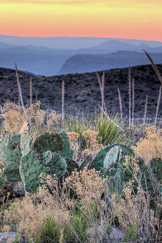 Big Bend Poster featuring the photograph West Texas Grandeur by JC Findley