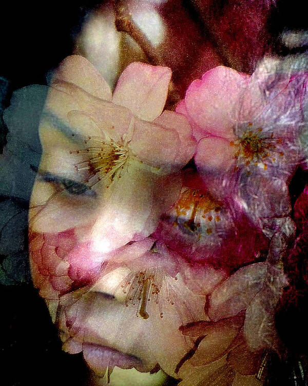 Portrait Poster featuring the photograph Cherry Blossom Time by Jodie Marie Anne Richardson Traugott     aka jm-ART
