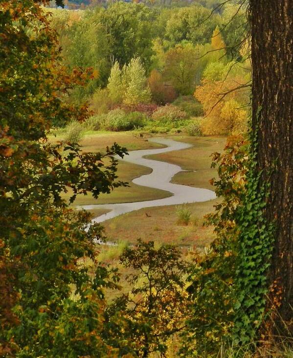 Autumn Poster featuring the photograph Autumn Stream 2 #1 by Charles Lucas