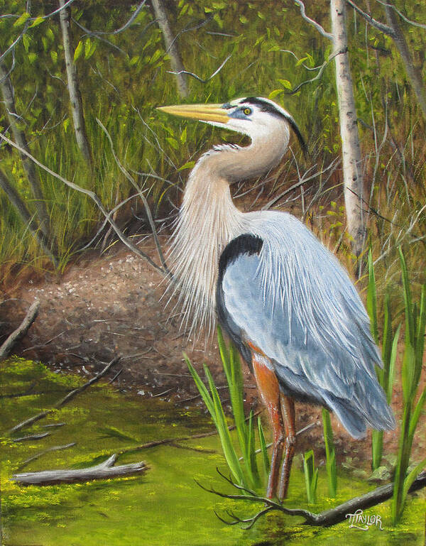 Bird Poster featuring the painting Blue Heron #2 by Tammy Taylor