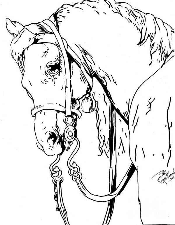 Pen Poster featuring the drawing Horse #1 by Bill Richards