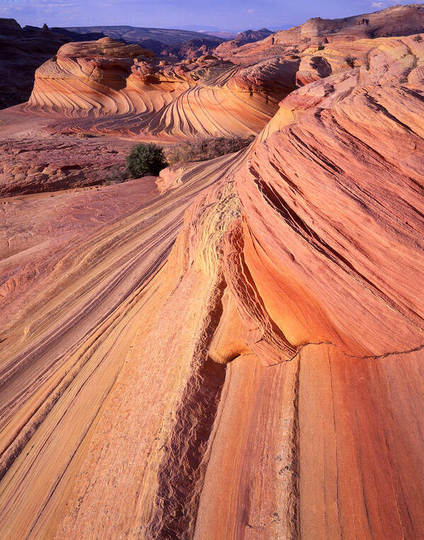 National Park Poster featuring the photograph Magenta Wave #1 by Ray Mathis