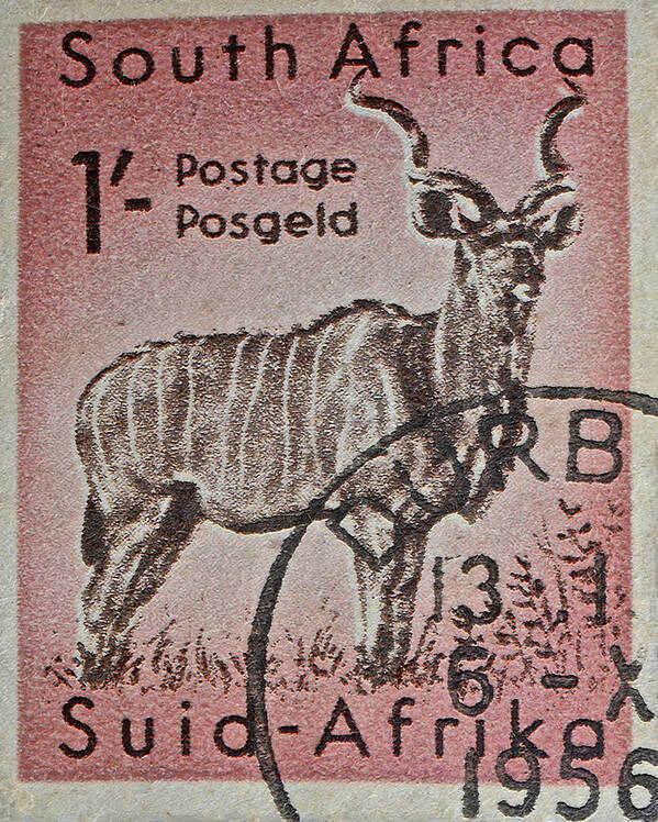 1956 Poster featuring the photograph 1956 South African Stamp - Durban Postmark by Bill Owen