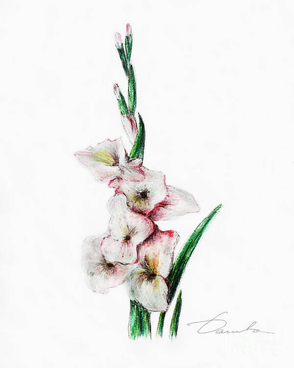 Gladiolus Poster featuring the painting Gladiolus #2 by Danuta Bennett