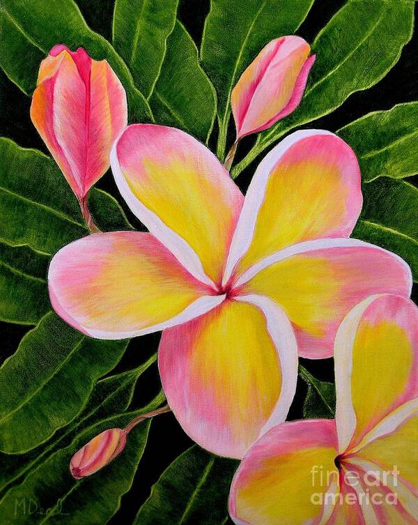 Flowers Poster featuring the painting Rainbow Plumeria by Mary Deal