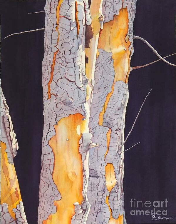 Watercolor Poster featuring the painting River Birch At Lynx by Robert Hooper