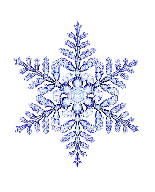 White Background Poster featuring the photograph Snowflake #57 by Kenneth Libbrecht